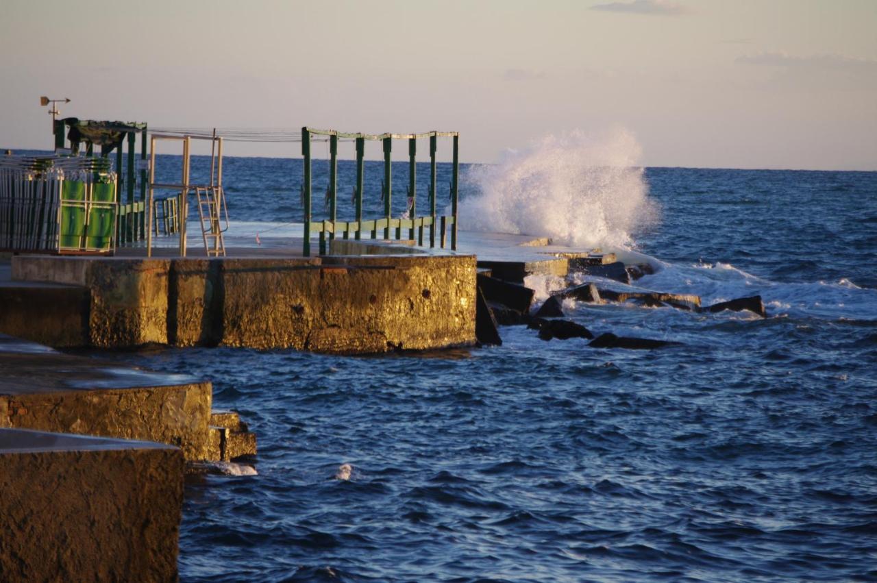 Acquamarina B&B Livorno Oda fotoğraf